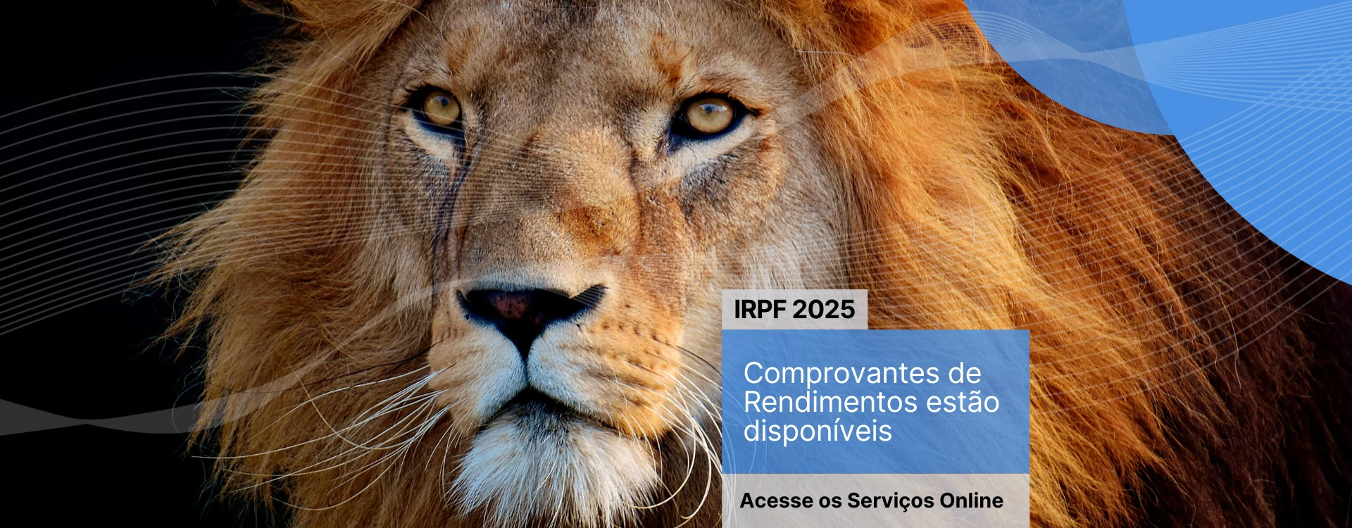IRPF 2025