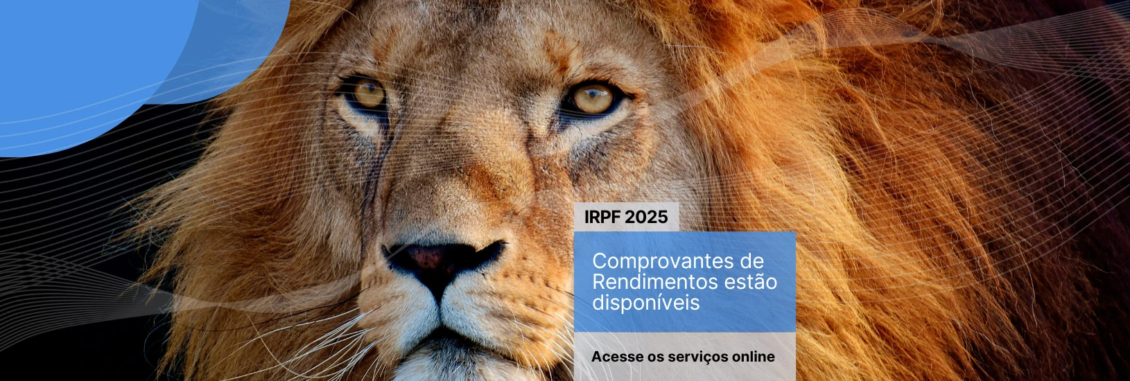 IRPF 2025