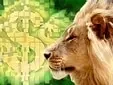 Que tal amenizar a mordida do leão?