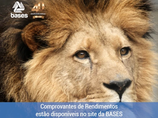 Comprovantes de rendimento estão disponíveis